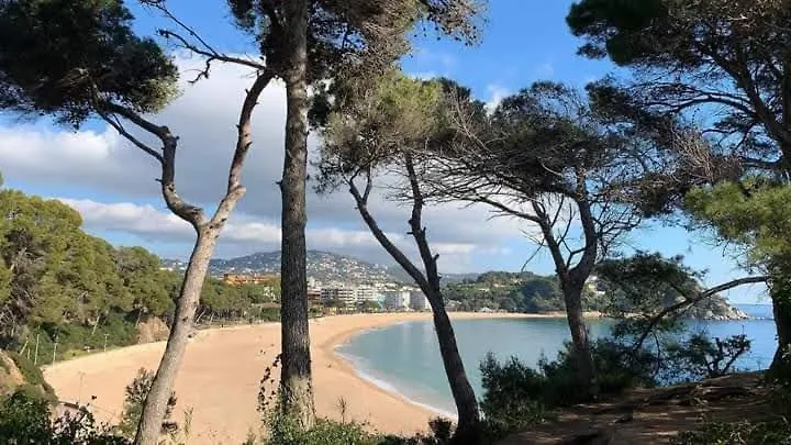 Apartamento Zodiac Ab 6H Lloret de Mar